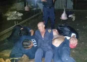 PM Libertador rescató a 8 personas secuestradas y abatió a dos antisociales