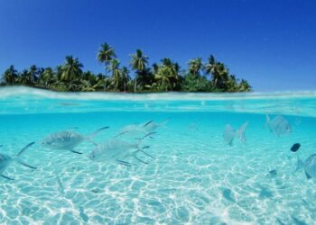 Maduro al crear la ZEE en Isla La Tortuga: «Está virgen, lista para el desarrollo sustentable»