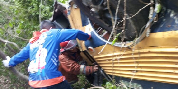 Reportan 4 fallecidos y más de una veintena de heridos tras volcarse autobús en Patanemo, estado Carabobo