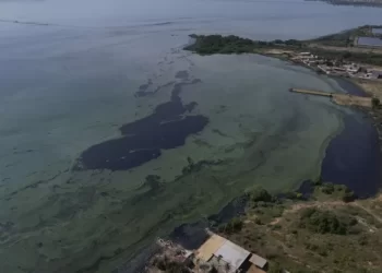 Los niveles de contaminación del Lago Maracaibo son sintémicos; el entorno se acerca al colapso