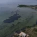Los niveles de contaminación del Lago Maracaibo son sintémicos; el entorno se acerca al colapso