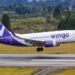 Aerolínea colombiana Wingo ampliará sus operaciones entre Bogotá y Caracas