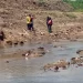 Hallan sin vida a adulto mayor que había sido arrastrado por un canal en Las Parcelas del Socorro