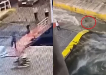 En Grecia, pasajero murió tras ser empujado al mar desde un ferry