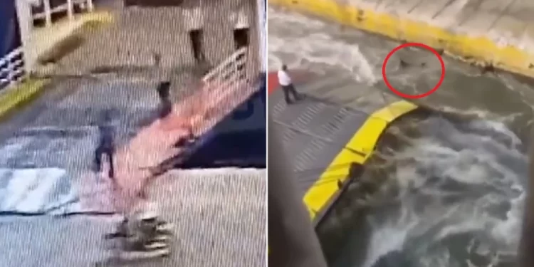 En Grecia, pasajero murió tras ser empujado al mar desde un ferry