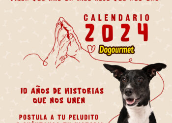 Dogourmet comienza la etapa de postulaciones para la décima edición de su calendario canino