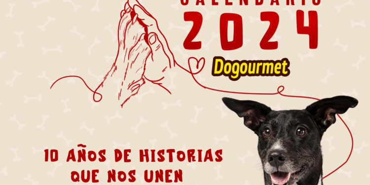 Dogourmet comienza la etapa de postulaciones para la décima edición de su calendario canino