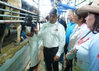 Alcaldía de Valencia inició segundo ciclo de vacunación de bovinos contra la fiebre aftosa y rabia