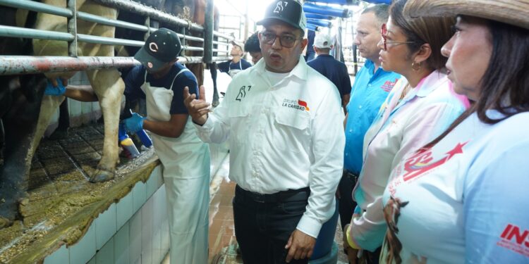 Alcaldía de Valencia inició segundo ciclo de vacunación de bovinos contra la fiebre aftosa y rabia