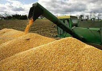 Cortes eléctricos ponen en jaque la operatividad del sector agroindustrial de Venezuela