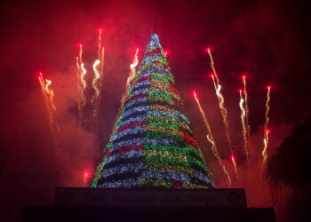 Comenzó la Navidad en San Diego tras encendido del gran árbol navideño