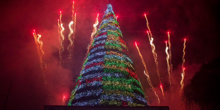 Comenzó la Navidad en San Diego tras encendido del gran árbol navideño