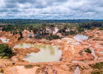 Fundaredes contabilizó 44 asesinatos relacionados con la minería ilegal desde 2019