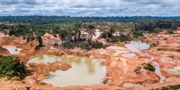 Fundaredes contabilizó 44 asesinatos relacionados con la minería ilegal desde 2019
