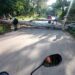 Carretera de Belén en Carlos Arvelo cerrada por la caída de un árbol