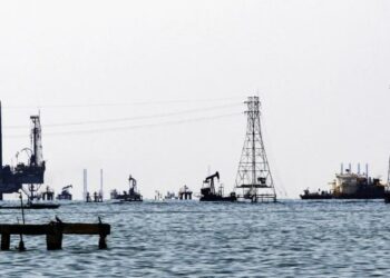 Reverol dice que gobierno retiró 213 toneladas de desechos plásticos de las orillas del Lago de Maracaibo