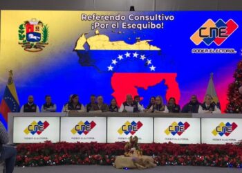 Primer boletín del CNE: Amoroso dice que votaron 10 millones 554 mil 320 personas en el referendo consultivo