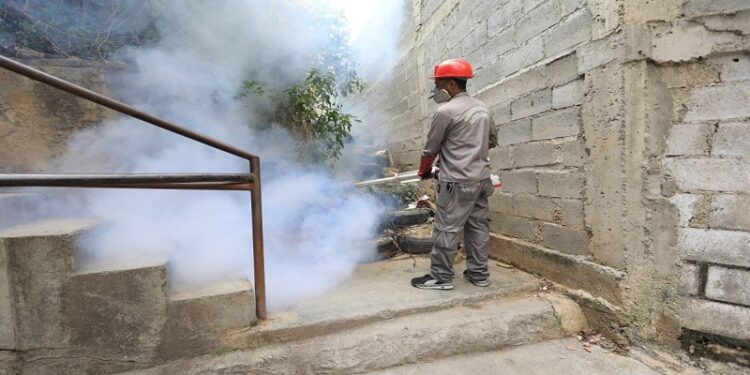 Ministerio de Salud realiza despliegue contra el dengue