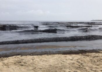 Enorme mancha de residuos de petróleo cubre parte de las playas de El Palito en Puerto Cabello