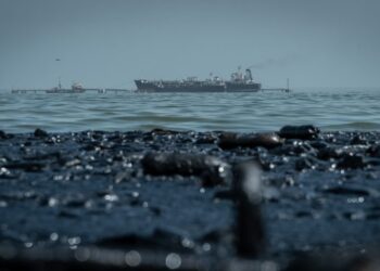 Extraen casi 135.000 toneladas de desechos del Lago de Maracaibo: aún sigue contaminado