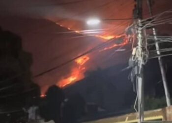Incendio forestal de gran magnitud en el parque Henri Pittier: más de 250 hectáreas
