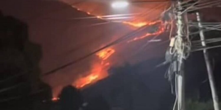 Incendio forestal de gran magnitud en el parque Henri Pittier: más de 250 hectáreas