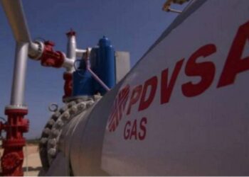 Reuters: Diferentes perspectivas del GNL frenan las conversaciones de Shell sobre proyecto de gas con Pdvsa