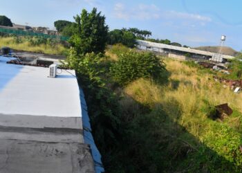 Solicitan limpieza de canal en urbanización Las Acacias al sur de Valencia