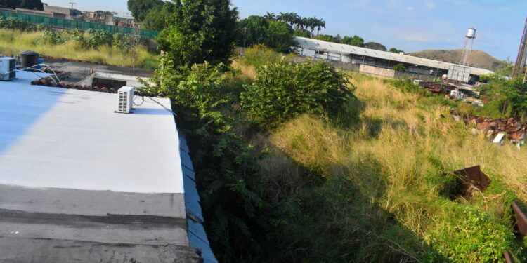 Solicitan limpieza de canal en urbanización Las Acacias al sur de Valencia