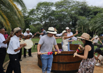 Bodegas Pomar invita a descubrir la magia de los viñedos venezolanos en la Vendimia 2024