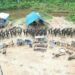 FANB desaloja mineros extranjeros ilegales en el estado Amazonas