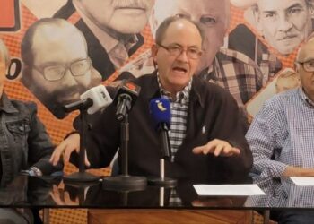 MAS: Cronograma de Presidenciales le corresponde al Consejo Nacional Electoral