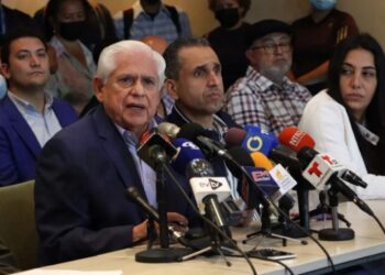 La PUD denuncia que «el Gobierno pretende diseñar unas elecciones antidemocráticas»