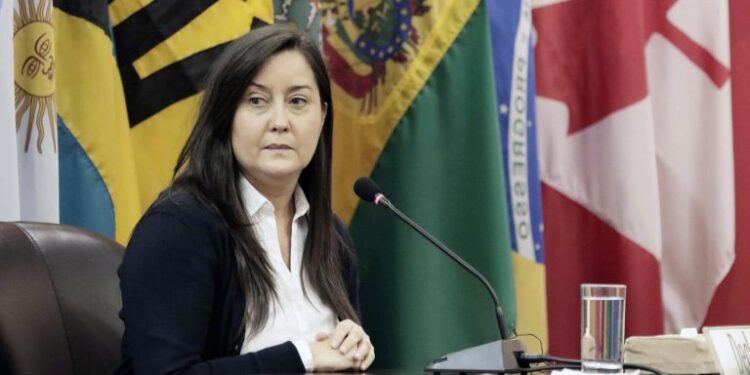 Tarek William Saab acusa a Rocío San Miguel de participar en «plan para asesinar a Maduro»