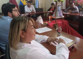 Concejal Elianne Atahue salvó su voto en el Concejo de Naguanagua en aprobación de ordenanzas referentes a la armonización tributaria