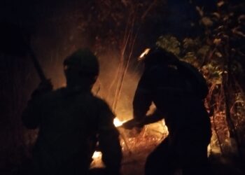 Intenso incendio en Parque Municipal Cerro El Café: Bomberos en Carabobo han enviado cuatro comisiones diversas