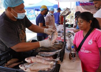 Alcaldía Valencia con el Ministerio de Pesca y Acuicultura desplegó “Operación Venezuela Come Pescado»