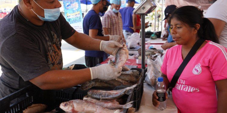 Alcaldía Valencia con el Ministerio de Pesca y Acuicultura desplegó “Operación Venezuela Come Pescado»