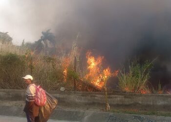 Al momento: Incendio de gran magnitud en terreno baldío adyacente al Mercado Municipal de Naguanagua
