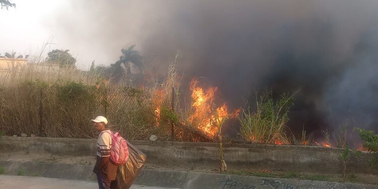 Al momento: Incendio de gran magnitud en terreno baldío adyacente al Mercado Municipal de Naguanagua