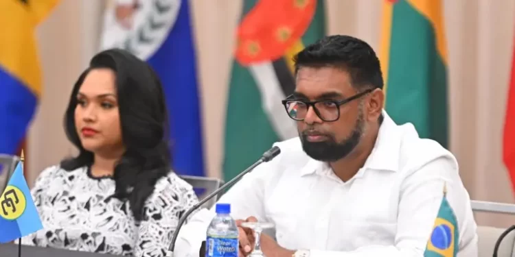 Relación entre Guyana y Venezuela es estable pero con diferencias