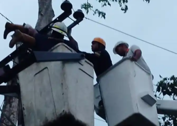 Murió electrocutado en Canoabo un entrenador de béisbol