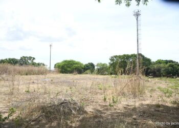 Más de 20 años abandonado tiene un complejo deportivo en la comunidad de La Guásima