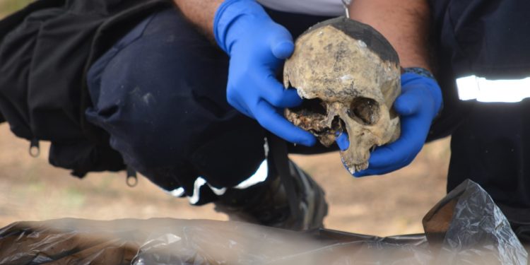 Transeúntes localizaron un cráneo humano en la avenida principal El Paíto