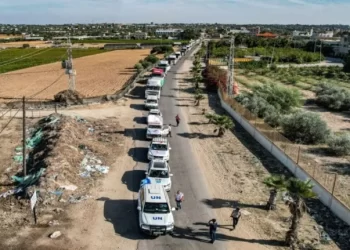 Una treintena de ciudades de todo el mundo piden la liberación de los rehenes de Gaza