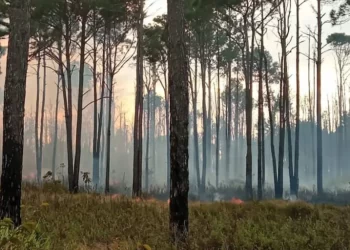 Maduro asegura que incendios registrados en Venezuela son provocados para generar zozobra