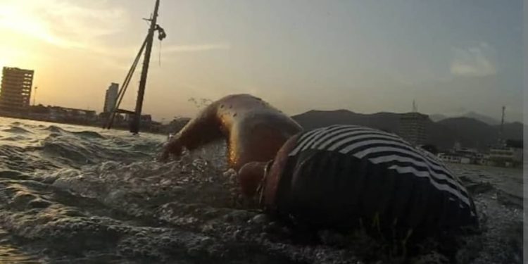 Playa Sonrisa será escenario de la Primera Copa Shark de Aguas Abiertas