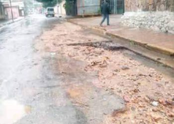 Solicitan asfaltado para la Avenida 190 del sector Tarapío en Naguanagua