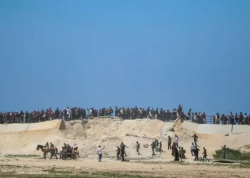 Las muertes en la Franja de Gaza siguen aumentando: 33 mil 729