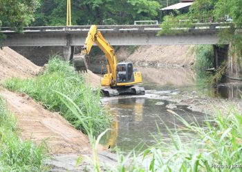 Cuadrillas de la Alcaldía de Valencia aceleran los trabajos de limpieza y dragado en el río Cabriales